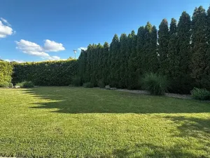 Prodej rodinného domu, Borek, 170 m2
