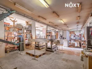 Prodej výrobních prostor, Chroustovice, Dr. Alberta Pražáka, 600 m2