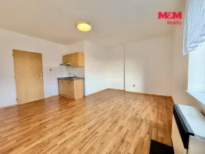 Pronájem bytu 1+kk, Blatná, Smetanova, 33 m2