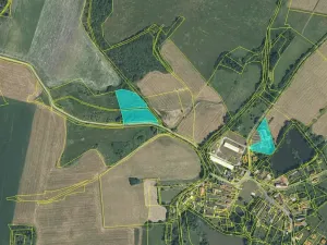 Dražba pozemku, Staré Sedlo, 223600 m2