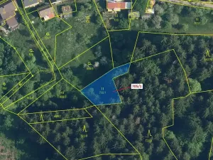 Dražba louky, Zlatá Olešnice, 438 m2