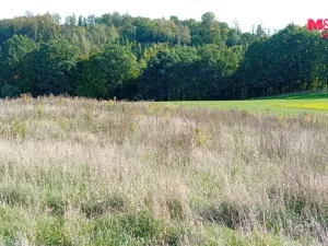 Prodej pozemku pro bydlení, Řehenice, 6409 m2