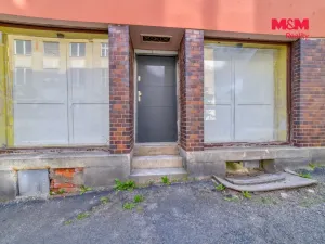 Prodej obchodního prostoru, Aš, Nádražní, 39 m2