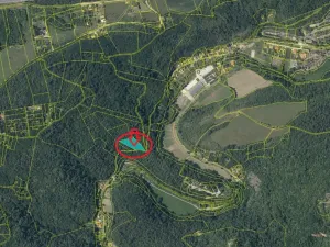Prodej lesa, Svatý Jan pod Skalou, 3269 m2