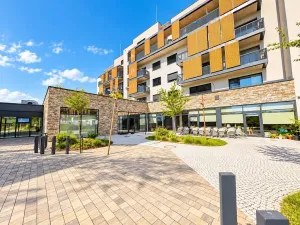 Prodej bytu 1+kk, Mladá Boleslav, Vondřichova, 42 m2