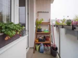 Prodej bytu 3+1, Jičín, Na jihu, 73 m2