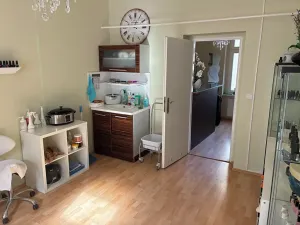 Pronájem obchodního prostoru, Karlovy Vary, T. G. Masaryka, 26 m2