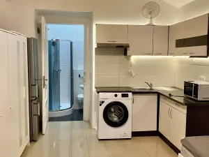 Pronájem bytu 1+kk, Praha - Vršovice, Bulharská, 20 m2