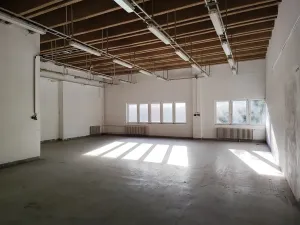 Pronájem skladu, Praha - Michle, Ohradní, 126 m2
