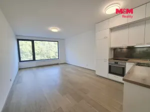 Pronájem bytu 1+kk, Praha - Michle, Nuselská, 41 m2