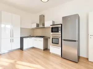 Prodej bytu 1+1, Brno, 48 m2