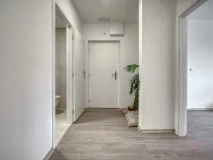 Pronájem bytu 2+1, Most, Zdeňka Fibicha, 55 m2