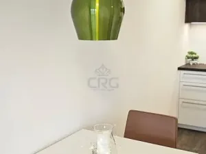 Pronájem bytu 2+kk, Brno - Veveří, Lidická, 55 m2