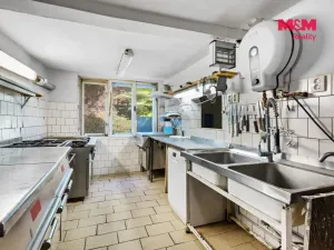 Prodej restaurace, Mařenice - Dolní Světlá, 598 m2