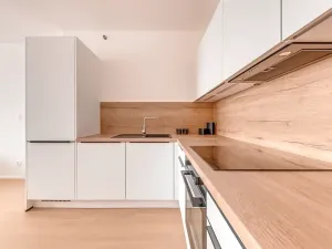 Pronájem bytu 2+kk, Praha - Vysočany, Hindlova, 56 m2