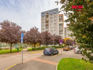 Prodej bytu 3+1, Benešov, Jiřího Horáka, 57 m2