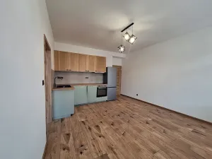 Pronájem bytu 2+kk, Praha - Břevnov, Bělohorská, 50 m2