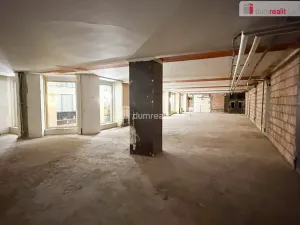 Pronájem obchodního prostoru, Praha - Nové Město, Vodičkova, 800 m2