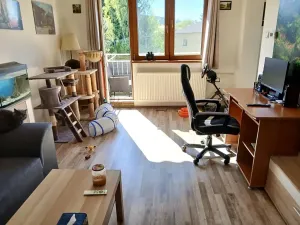 Pronájem bytu 3+1, Dvůr Králové nad Labem, Leoše Janáčka, 69 m2