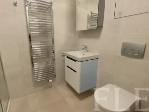 Pronájem bytu 1+kk, Praha - Žižkov, Hartigova, 38 m2