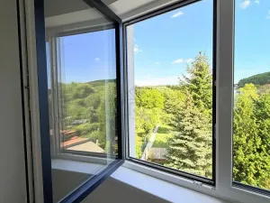 Prodej bytu 3+kk, Česká, 86 m2