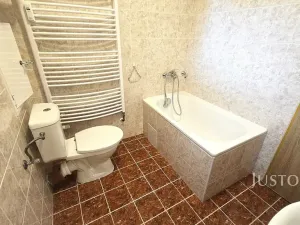 Pronájem bytu 1+kk, Písek, Přemyslova, 28 m2