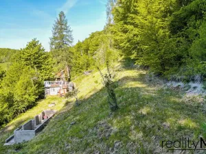 Prodej pozemku pro bydlení, Rakousy, 5248 m2
