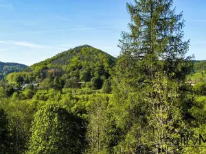 Prodej pozemku pro bydlení, Rakousy, 5248 m2