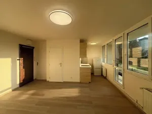 Pronájem bytu 1+kk, Praha - Karlín, Nekvasilova, 27 m2