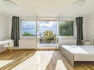 Pronájem bytu 1+kk, Praha - Smíchov, Nad Palatou, 35 m2