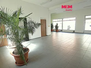 Pronájem obchodního prostoru, Ostrava - Mariánské Hory, Přemyslovců, 66 m2