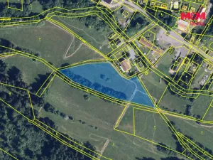 Prodej pole, Stará Ves, 8308 m2