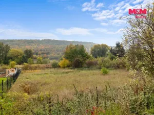 Prodej pozemku pro bydlení, Třebichovice, 850 m2