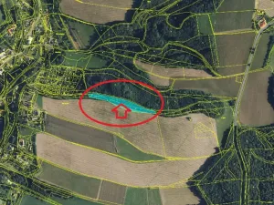 Prodej podílu lesa, Albrechtice, 2552 m2