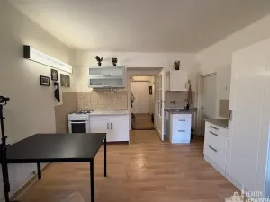 Pronájem bytu 1+1, Praha - Vinohrady, Řipská, 46 m2
