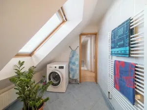 Pronájem atypického bytu, Brno, Tučkova, 80 m2
