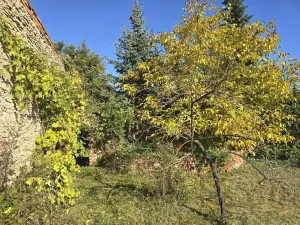 Prodej rodinného domu, Pašinka, 127 m2