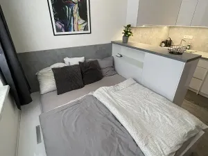 Prodej bytu 1+kk, Zlín, třída Tomáše Bati, 22 m2