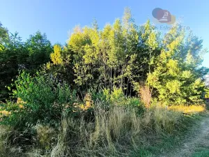 Prodej pozemku pro bydlení, Brodek u Konice, 3992 m2