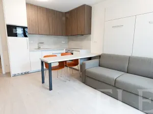 Pronájem bytu 1+kk, Praha - Žižkov, Hartigova, 32 m2