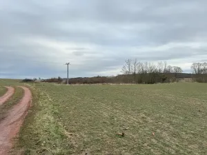 Prodej sadu/vinice, Malotice, 12163 m2