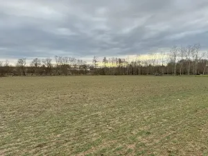 Prodej sadu/vinice, Malotice, 12163 m2