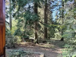 Prodej chaty, Borová, 53 m2