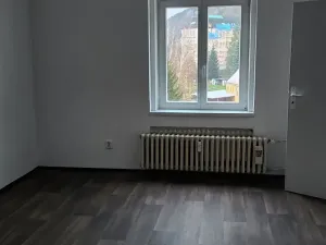 Pronájem bytu 3+1, Děčín, Mírové nám., 80 m2