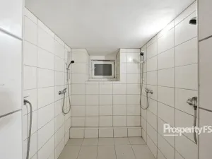 Prodej rodinného domu, Štětí, Bezručovy sady, 190 m2