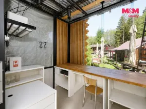 Prodej komerčního pozemku, Krucemburk - Staré Ransko, 21872 m2