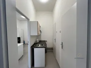 Pronájem obchodního prostoru, Plzeň, 38 m2