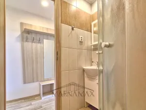 Prodej bytu 1+kk, Chodov, Palackého, 18 m2