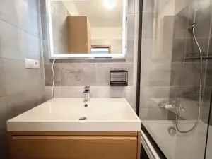 Pronájem bytu 3+kk, Brno, 52 m2