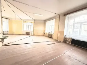 Prodej vícegeneračního domu, Milevsko, Gen. Svobody, 983 m2